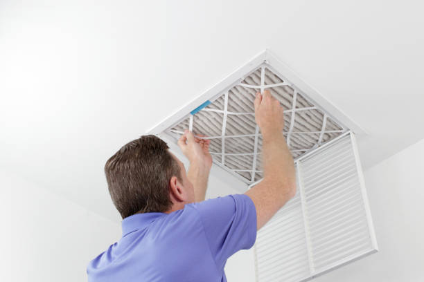 Best HVAC Duct Inspection Services  in Stockbridge, MI